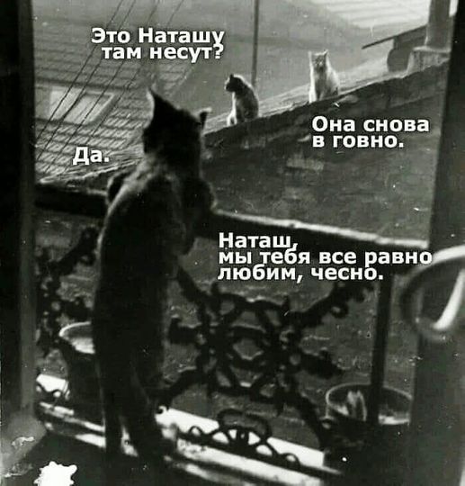 Весёлые картинки 2