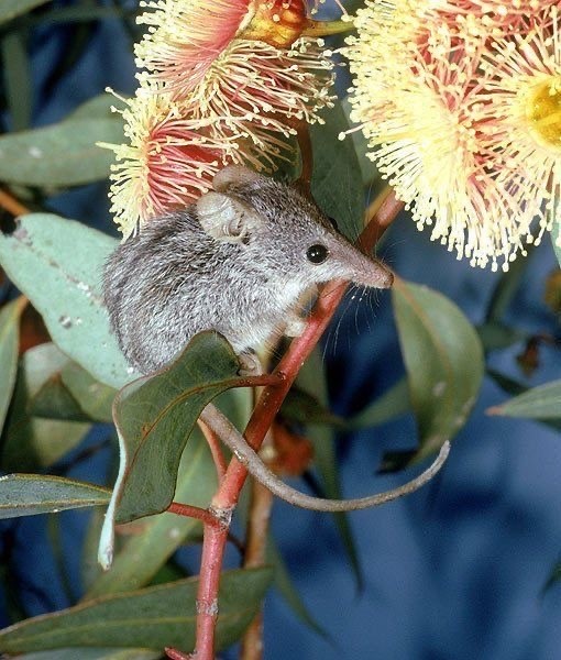 Прикольные и просто красивые картинки 04.04.2025