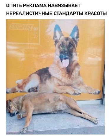 - В "Пятёрочку" заскочим?