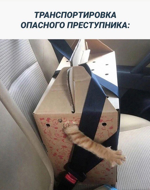 Прикольные и просто красивые картинки