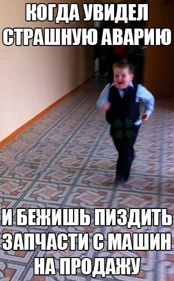 Дичь. Просто дичь