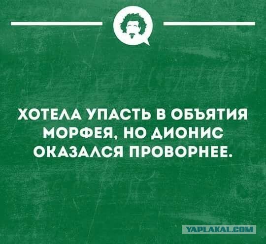 Веселые картинки в понедельник (22.09)