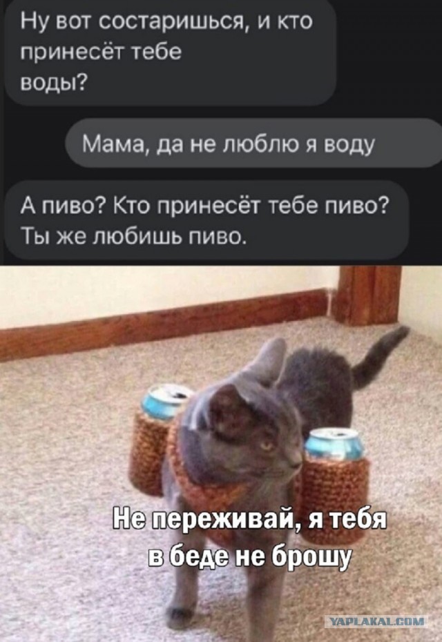 Так себе картинки 25.01.26