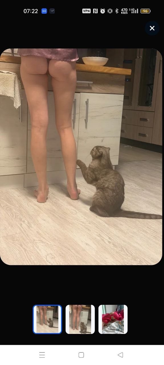 WBшечка