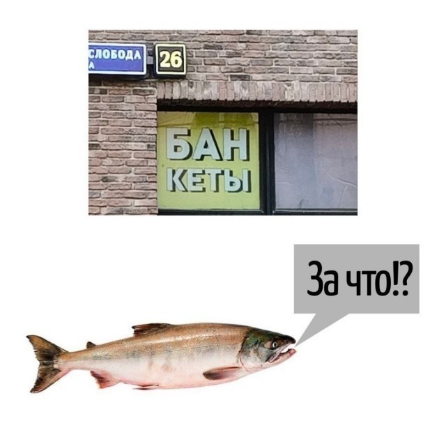 Среды картинки