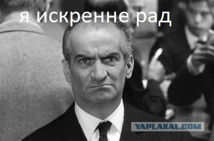Долгожданная встреча зятя и тещи