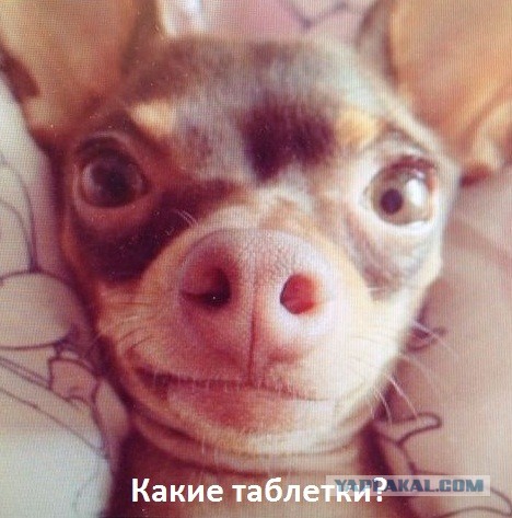 просто снимок