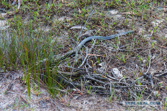 Австралия: Сидней и его окрестности