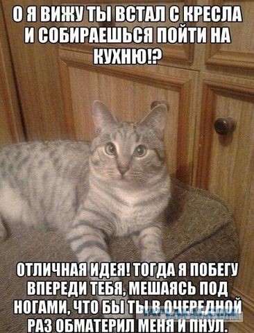 Не про олимпиаду