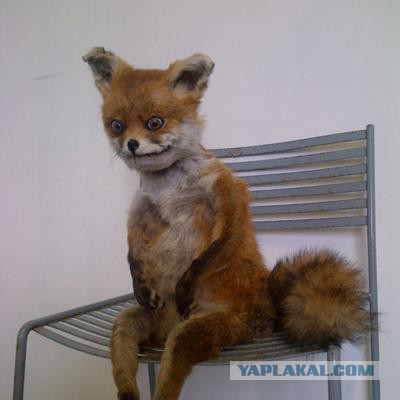 Я хочу замуж