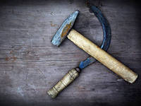 Новое. На Майдане всё спокойно-подоспел урожай.