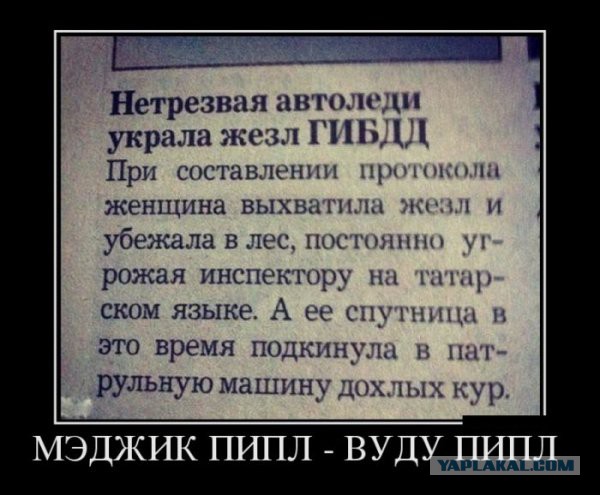 Смешное из соц сетей