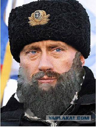 Носи усы, носи - не ссы!