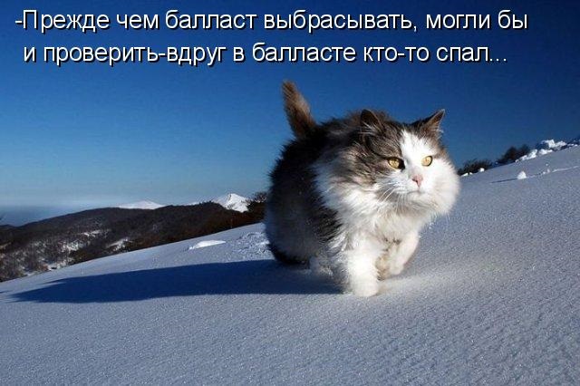 Смешные комментарии из соц сетей