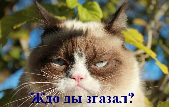 Украинцам и американцам