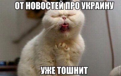 Ярош о минских соглашениях