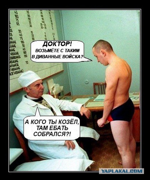 Диванные войска в деле