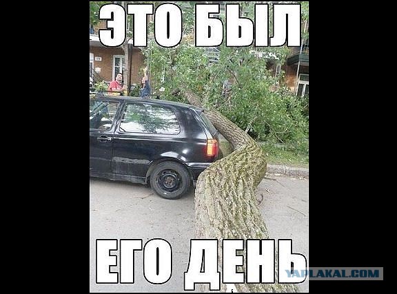 Веселые картинки на пятницу