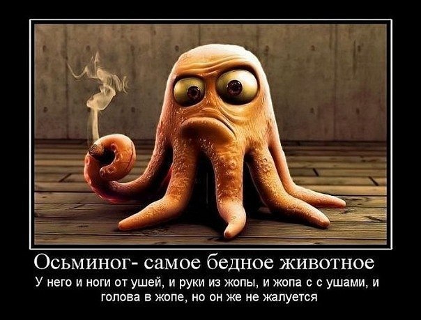 Веселости