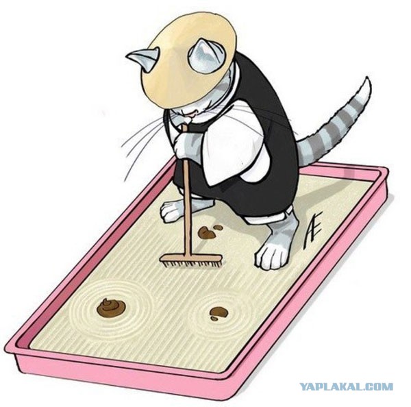 Котэподборка