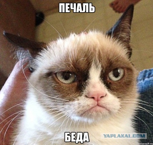 Вот такие были новости на Первом канале