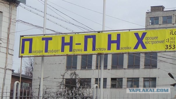 Оштрафовали на 10 000 р за сравнение Обамы