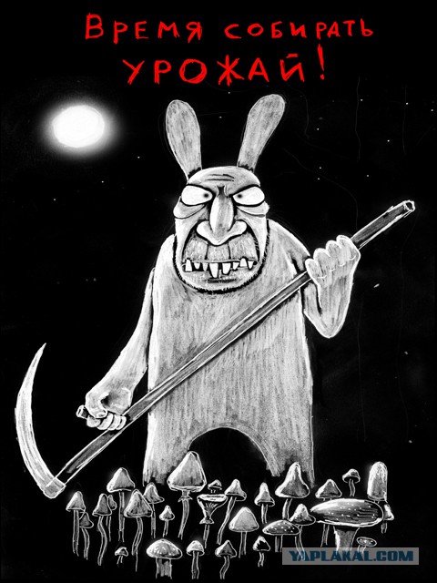 Я не наркоман