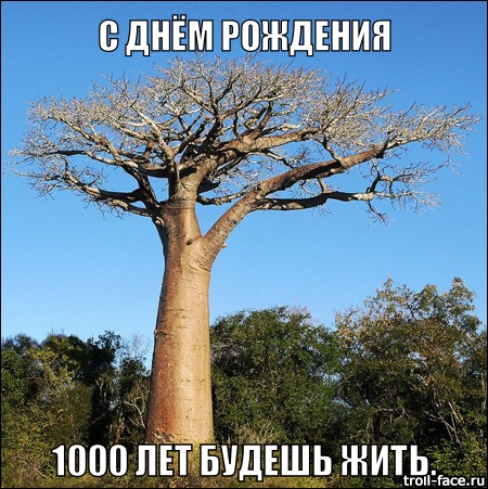 Картинки и прочее