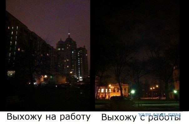Коварное зимнее утро