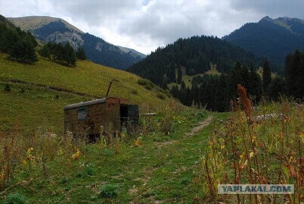 7 трупов в Аксайском ущелье Алматинской области