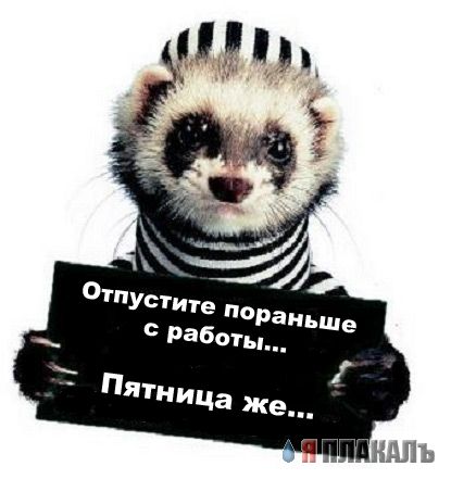 ПЯТНИЦА. Как все начинается!