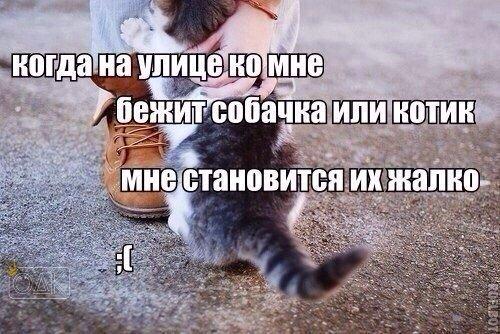 Разные картинки