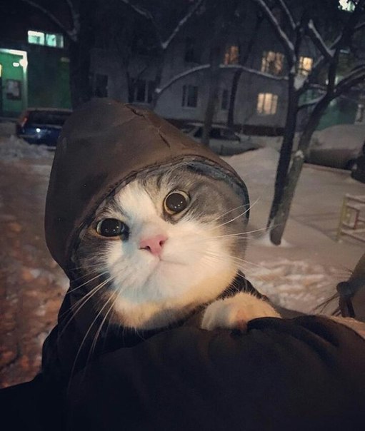 Картинки разные