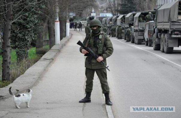 Освобождение Крыма — самые яркие моменты