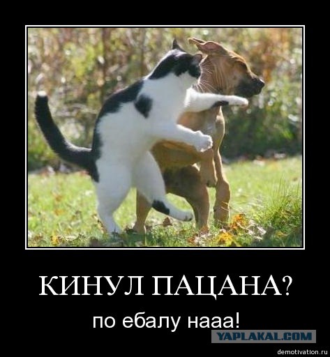 Как купить китайское "г" за пять косарей