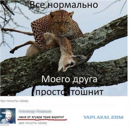 Смешные комментарии 24.04.2016