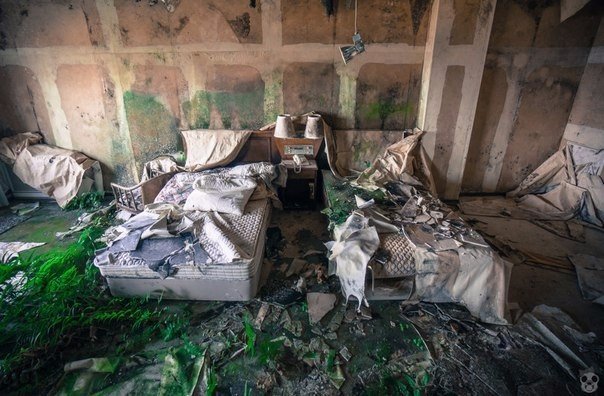 Подборка картинок