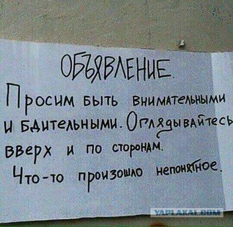 Весёлые картинки