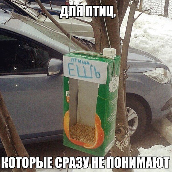 Картинки и приколы из сети