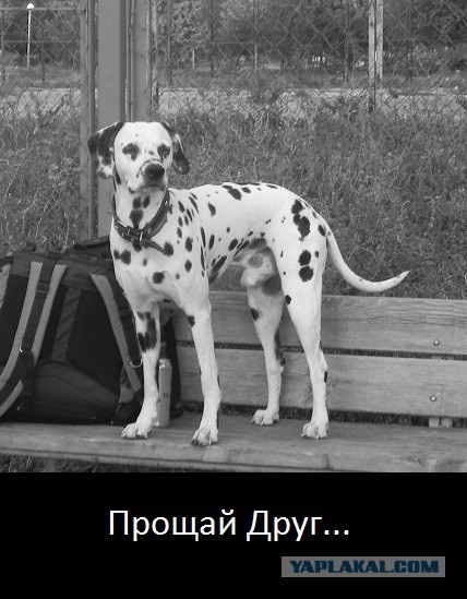 Я жду тебя за Радугой