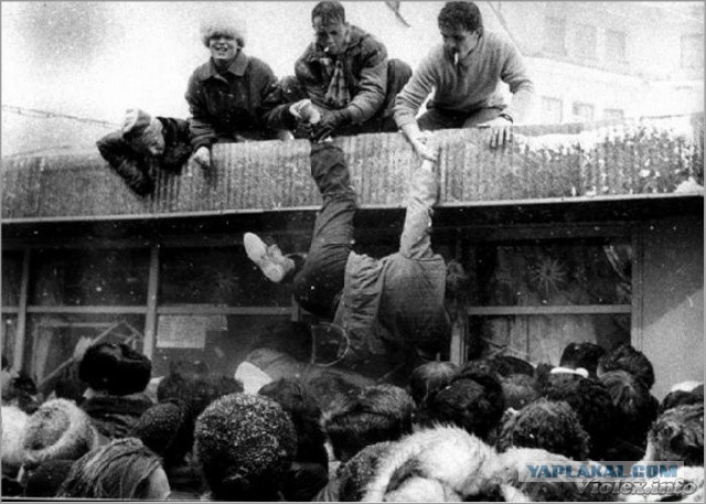 Всячина. 33 картинки