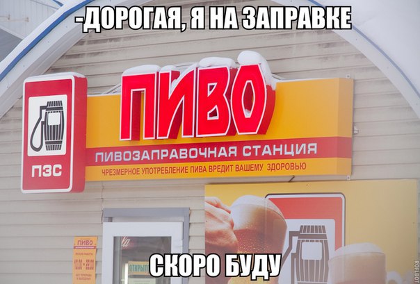 Подборка безудержного веселья