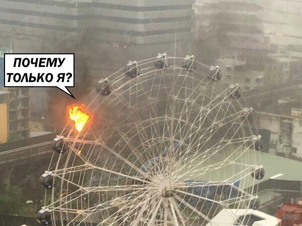Подборка безудержного веселья