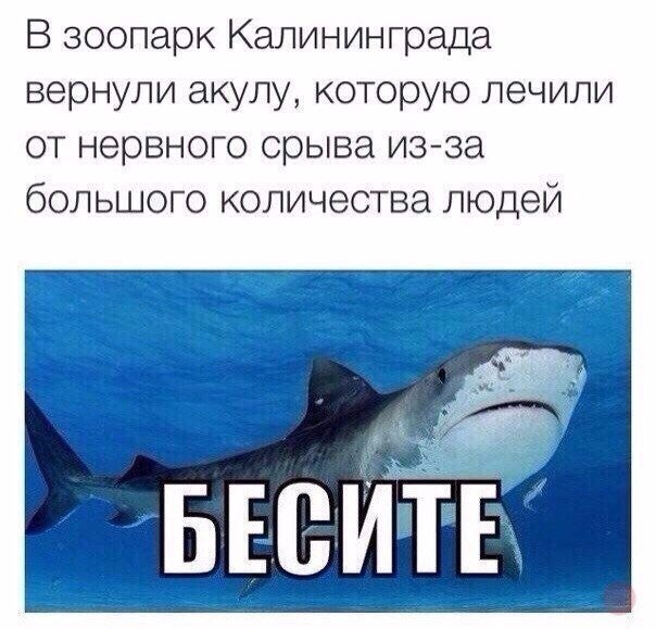 Очередная подборка школьной наркомании из соц.сетей