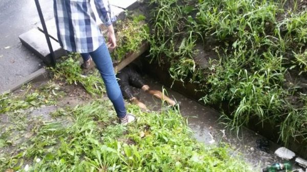 Житель Омска нырнул в сточную канаву под проливным дождем, чтобы спасти тонущих щенков