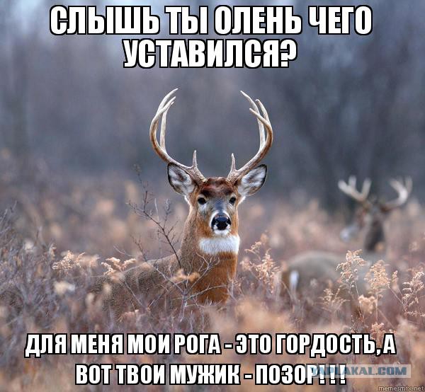 Ревнивый муж 5 часов избивал жену: она скончалась через 6 дней. Дочка женщины осталась круглой сиротой: ее отец погиб в ДТП