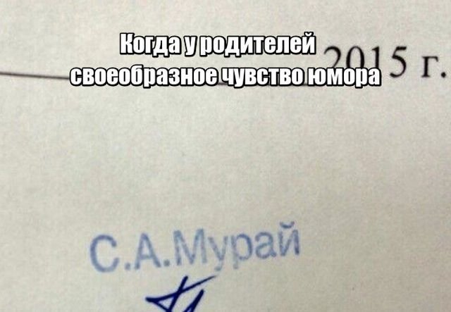 Нестандартный юмор