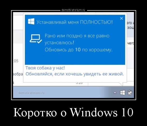 Не обновил Windows 10? Ищи адвоката