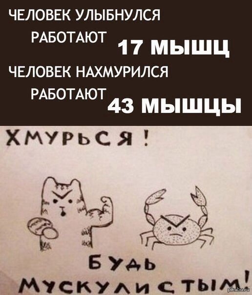 Подборка интересных и веселых картинок