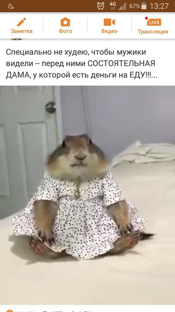 И сбоку бантик